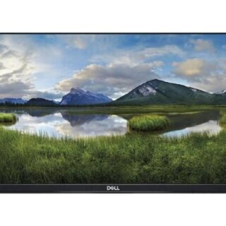 Monitor Dell Professional P2419H (Without Stand)