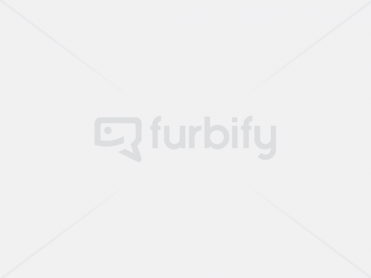 Notebook HP EliteBook 840 G5 Gloss pink