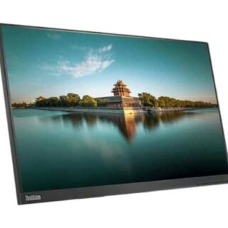 Monitor Lenovo ThinkVision T24i-10 (without stand)